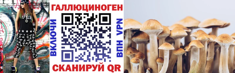 Псилоцибиновые грибы MAGIC MUSHROOMS  гидра вход  Горнозаводск 
